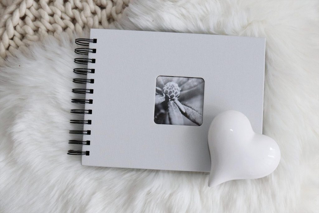 photo album, heart, fur, white heart, white fur, photo book, flatlay, photo album, photo album, photo album, photo album, photo album, photo book, photo book